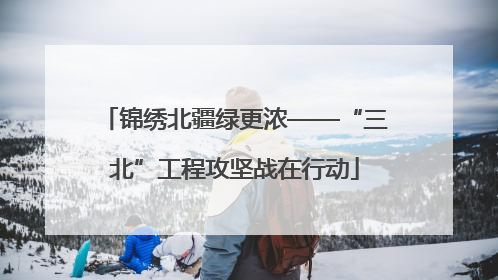 锦绣北疆绿更浓——“三北”工程攻坚战在行动