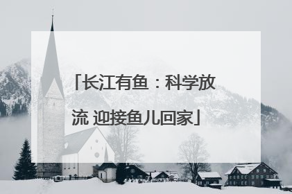 长江有鱼：科学放流 迎接鱼儿回家