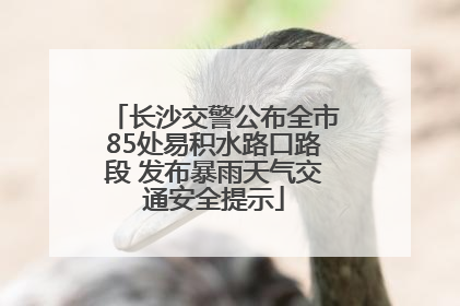 长沙交警公布全市85处易积水路口路段 发布暴雨天气交通安全提示