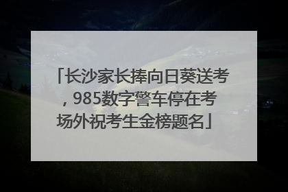 长沙家长捧向日葵送考，985数字警车停在考场外祝考生金榜题名