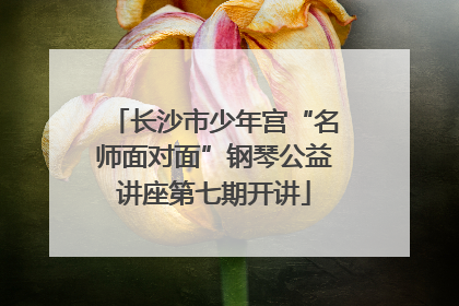 长沙市少年宫“名师面对面”钢琴公益讲座第七期开讲