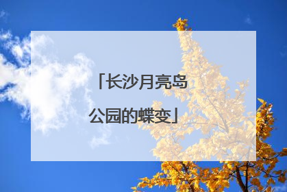 长沙月亮岛公园的蝶变