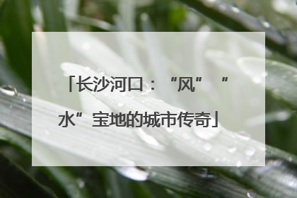 长沙河口：“风”“水”宝地的城市传奇