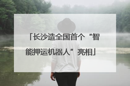 长沙造全国首个“智能押运机器人”亮相