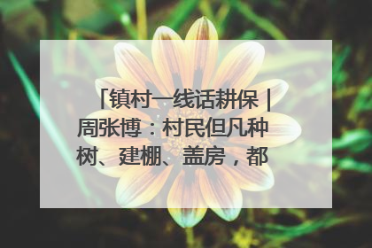 镇村一线话耕保｜周张博：村民但凡种树、建棚、盖房，都要向街道报批