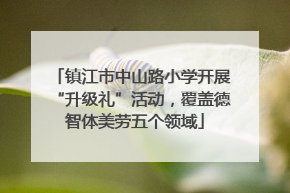 镇江市中山路小学开展“升级礼”活动，覆盖德智体美劳五个领域