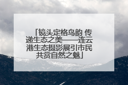 镜头定格鸟韵 传递生态之美——连云港生态摄影展引市民共赏自然之魅
