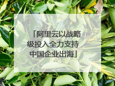 阿里云以战略级投入全力支持中国企业出海