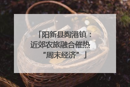 阳新县陶港镇：近郊农旅融合催热“周末经济”