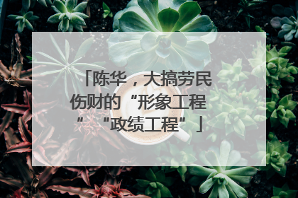 陈华，大搞劳民伤财的“形象工程”“政绩工程”