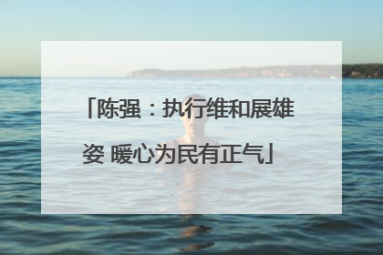 陈强：执行维和展雄姿 暖心为民有正气