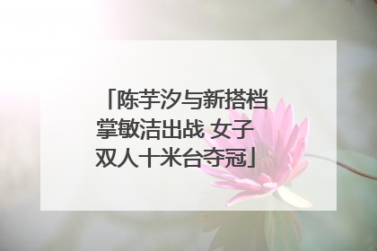 陈芋汐与新搭档掌敏洁出战 女子双人十米台夺冠