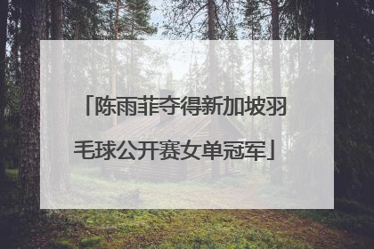 陈雨菲夺得新加坡羽毛球公开赛女单冠军
