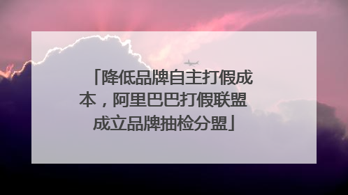 降低品牌自主打假成本，阿里巴巴打假联盟成立品牌抽检分盟