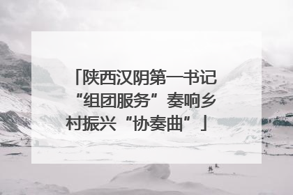 陕西汉阴第一书记“组团服务”奏响乡村振兴“协奏曲”