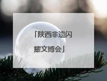 陕西非遗闪耀文博会