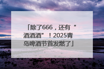 除了666，还有“酒酒酒”！2025青岛啤酒节首发燃了