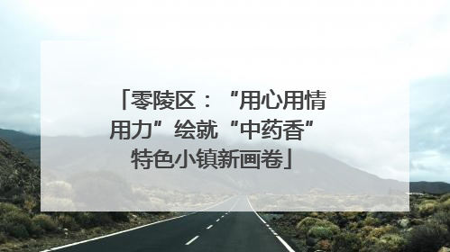 零陵区：“用心用情用力”绘就“中药香”特色小镇新画卷