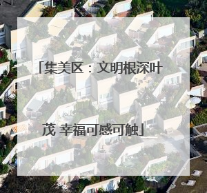 集美区：文明根深叶茂 幸福可感可触