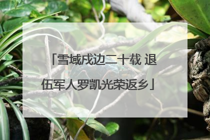 雪域戍边二十载 退伍军人罗凯光荣返乡