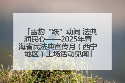 雪豹“跃”动间 法典润民心——2025年青海省民法典宣传月（西宁地区）主场活动见闻