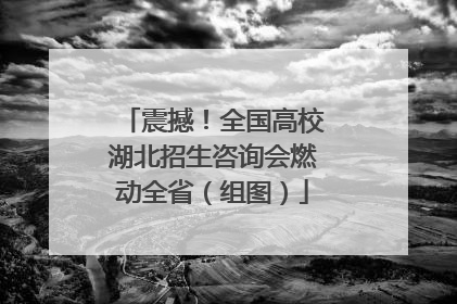 震撼！全国高校湖北招生咨询会燃动全省（组图）