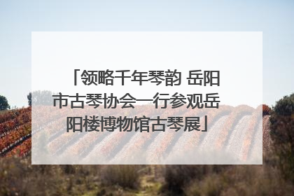 领略千年琴韵 岳阳市古琴协会一行参观岳阳楼博物馆古琴展
