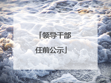 领导干部任前公示