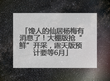 馋人的仙居杨梅有消息了！大棚版抢“鲜”开采，露天版预计要等6月