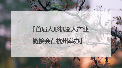 首届人形机器人产业链接会在杭州举办
