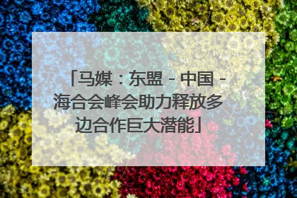 马媒：东盟－中国－海合会峰会助力释放多边合作巨大潜能