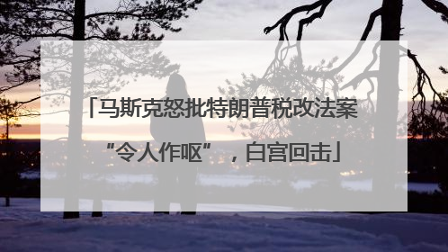 马斯克怒批特朗普税改法案“令人作呕”，白宫回击