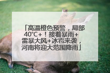 高温橙色预警，局部40℃+！接着暴雨+雷暴大风+冰雹来袭，河南将迎大范围降雨