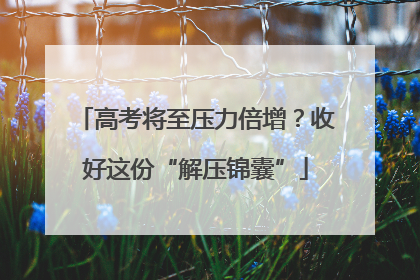 高考将至压力倍增？收好这份“解压锦囊”