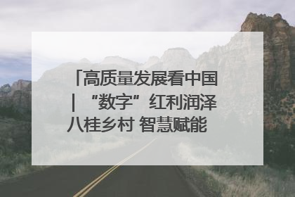 高质量发展看中国｜“数字”红利润泽八桂乡村 智慧赋能绘就振兴画卷
