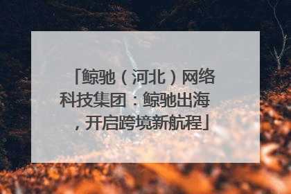 鲸驰（河北）网络科技集团：鲸驰出海，开启跨境新航程