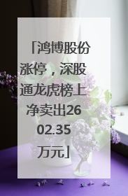 鸿博股份涨停，深股通龙虎榜上净卖出2602.35万元
