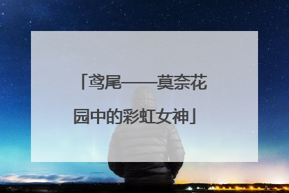 鸢尾——莫奈花园中的彩虹女神