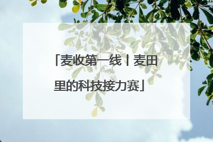 麦收第一线丨麦田里的科技接力赛