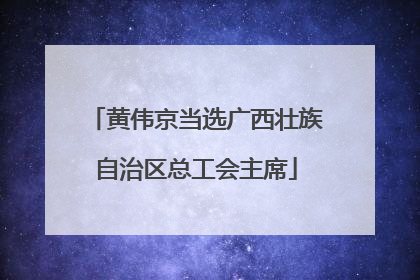 黄伟京当选广西壮族自治区总工会主席