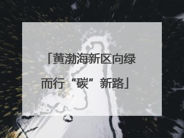 黄渤海新区向绿而行“碳”新路