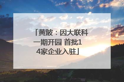 黄陂：因大联科一期开园 首批14家企业入驻