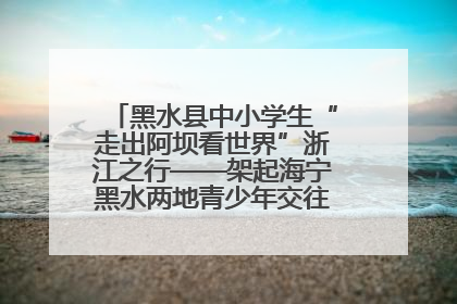 黑水县中小学生“走出阿坝看世界”浙江之行——架起海宁黑水两地青少年交往交流交融新桥梁