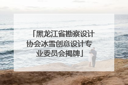 黑龙江省勘察设计协会冰雪创意设计专业委员会揭牌