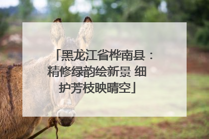 黑龙江省桦南县：精修绿韵绘新景 细护芳枝映晴空