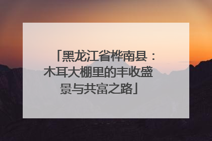 黑龙江省桦南县：木耳大棚里的丰收盛景与共富之路