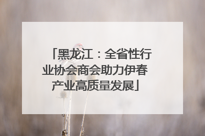 黑龙江：全省性行业协会商会助力伊春产业高质量发展