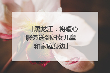 黑龙江：将暖心服务送到妇女儿童和家庭身边