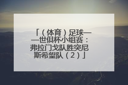 （体育）足球——世俱杯小组赛：弗拉门戈队胜突尼斯希望队（2）