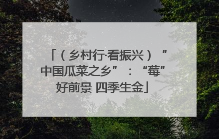 （乡村行·看振兴）“中国瓜菜之乡”：“莓”好前景 四季生金